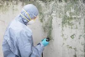 Best Mold Remediation for Healthcare Facilities  in Meadow Woods, FL